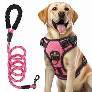MASBRILL Dog Harness and Leash Set